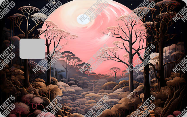 Bank  Card Sticker-BC-2294